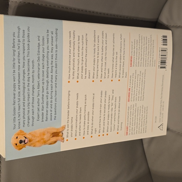 EUC Your Golden Retriever Puppy - Picture 2 of 4